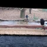 photo 2021-12-09 08-53-51