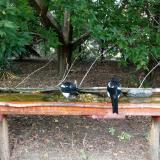 photo 2021-08-23 15-07-21