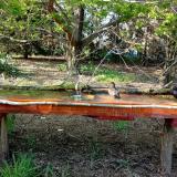 photo 2021-04-23 17-19-35