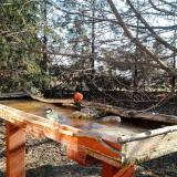 photo 2022-03-14 08-35-04