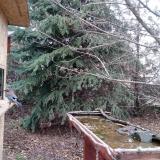 photo 2021-12-11 13-50-36