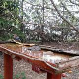 photo 2022-03-31 08-27-43