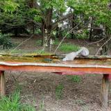 photo 2021-04-28 11-41-10