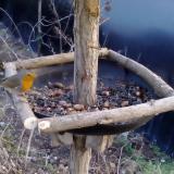 photo 2019-01-03 15-42-09