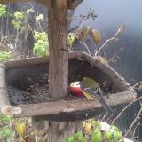 photo 2019-12-06 12-22-19