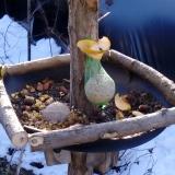 photo 2019-01-14 09-14-58