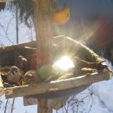 photo 2019-01-27 10-08-27