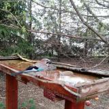 photo 2022-03-31 08-30-17