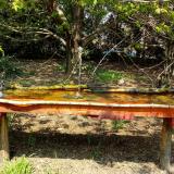 photo 2021-04-21 12-53-09