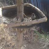 photo 2019-02-20 10-15-23