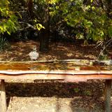 photo 2021-10-12 12-27-43