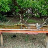 photo 2021-05-06 12-23-04