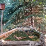 hegyi fakusz 2023-10-01 08-05-03