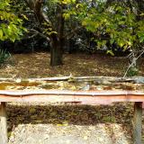 photo 2021-10-13 12-38-23