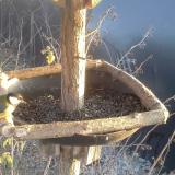 photo 2019-12-30 14-59-09