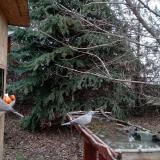 photo 2021-12-15 13-59-59