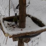 photo 2019-01-08 15-12-16