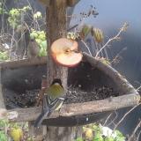 photo 2019-12-05 13-49-43