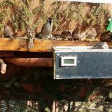 photo 2021-03-02 12-19-33