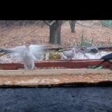 photo 2021-11-22 09-37-03