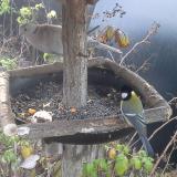 photo 2019-12-09 07-41-30