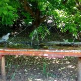 photo 2021-05-26 12-04-48