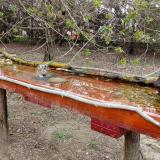 photo 2021-04-06 15-30-44