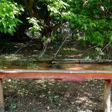 photo 2021-05-15 09-01-15