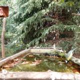 photo 2023-10-05 13-25-28