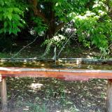 photo 2021-05-21 11-15-53