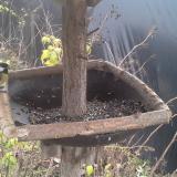 photo 2019-12-21 10-35-23