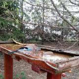 photo 2022-03-31 08-30-27