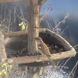 photo 2019-12-26 14-49-22