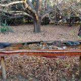 photo 2021-10-26 08-12-09