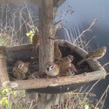 photo 2019-12-25 13-34-28