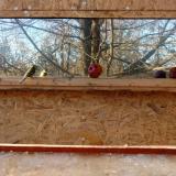 photo 2022-01-14 13-52-33