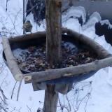 photo 2019-01-07 07-48-59