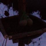 photo 2019-01-10 06-52-54