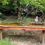 photo 2021-04-29 11-05-19