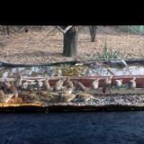 photo 2021-11-27 12-24-35