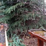 photo 2021-11-13 08-53-49