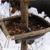 photo 2019-01-06 14-07-43