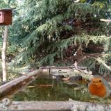 photo 2023-10-11 15-45-00 3