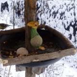 photo 2019-01-20 08-14-56