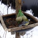 photo 2019-01-10 09-55-51