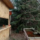 photo 2022-01-05 10-10-08