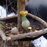 photo 2019-01-17 09-05-46