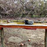 photo 2021-03-15 08-58-54