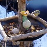 photo 2019-01-15 08-34-48