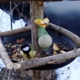 photo 2019-01-15 07-53-27